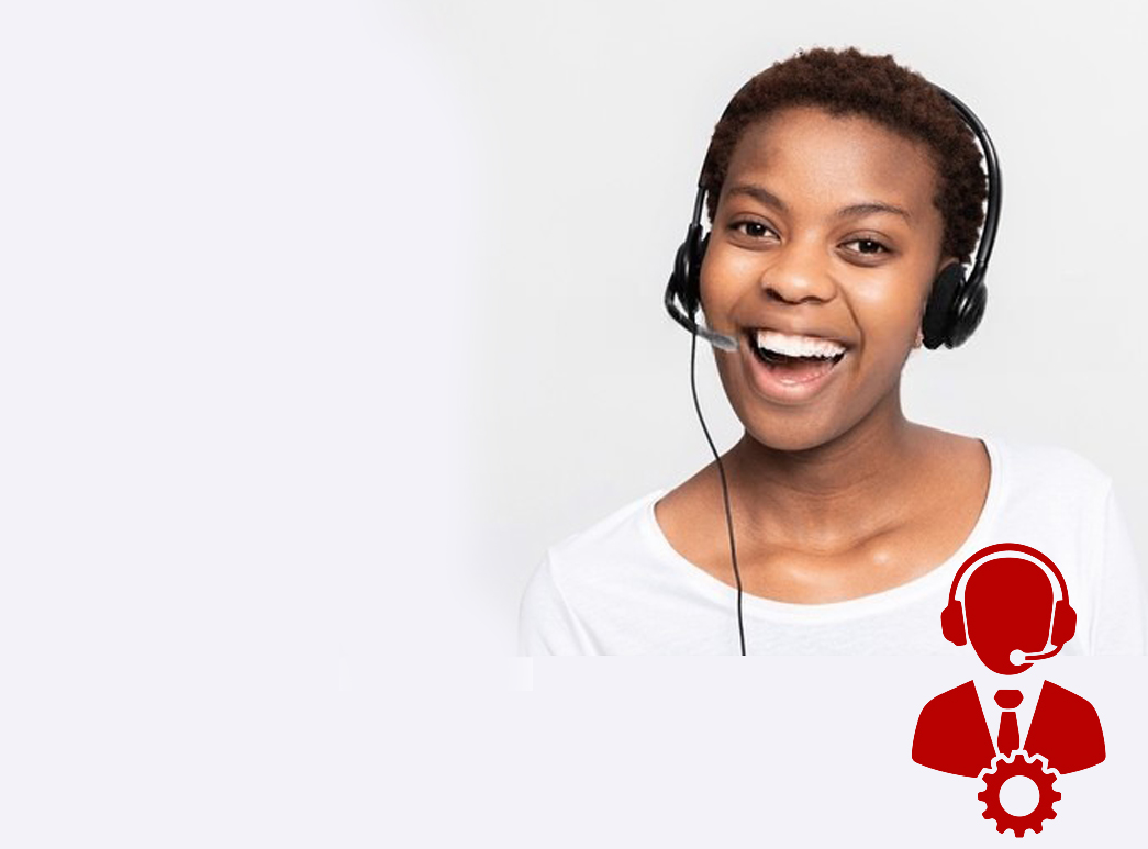 Technology advisory and support